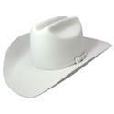 Bailey Lightning Cowboy Hat - Hats and Caps Online Shop - Hip Head Gear